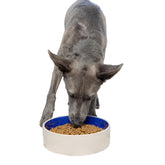 Bol SPOT Standard Crock Dish antiderapant, stabilité renforcée pour repas sans renversement.