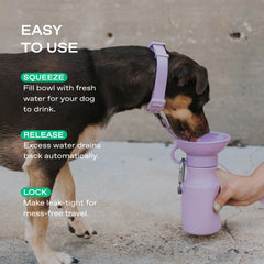 Springer bouteille eau chien valve antifuite: évite les fuites lors du rangement.
