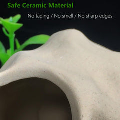 SpringSmart décor naturel pour petit aquarium, enrichit le cadre