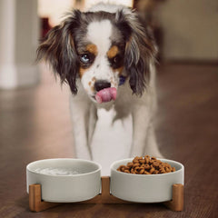 SPUNKYJUNKY double bol pratique pour nourriture et eau.