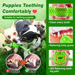 SQBG: jouet durable pour chiens mordeurs agressifs, résistance pour de longues sessions de mordillage.