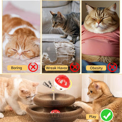 SREBAY Chat balle interactive: piste et jeu pour griffage.