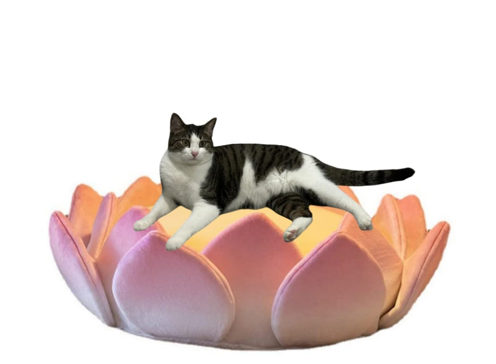 SSDHUA Matelas chat Nid lotus 3D: refuge sûr et confortable pour votre chat