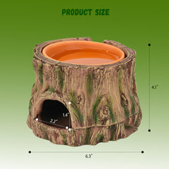 Stackoria bol d eau en argile naturel sur le dessus, humidité durable