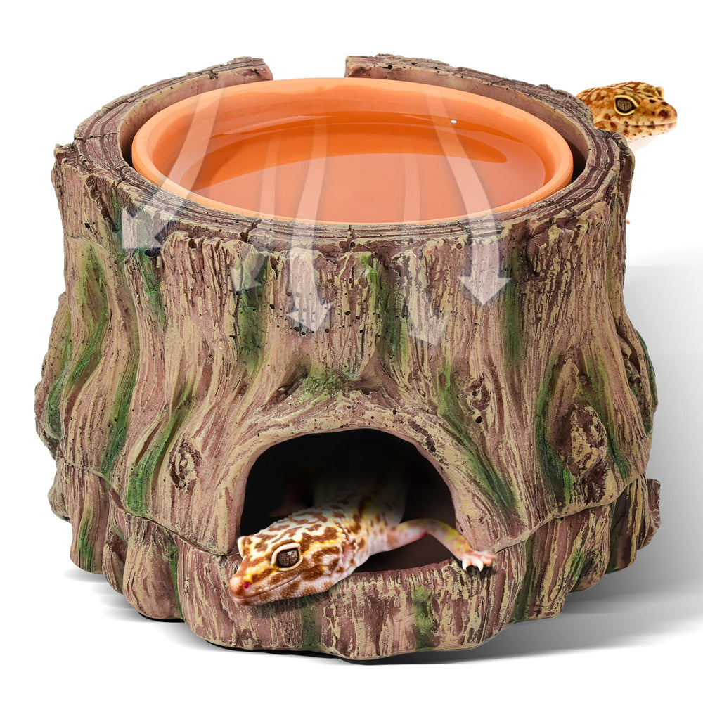Stackoria réfuge terrarium en forme de racine pour reptiles, abri sûr