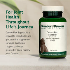 Gaufrettes Standard Process Soutien Flex Canin, texture appétente.