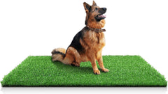 STARROAD-TIM zone toilettage chien 59,1 x 39,3 — pratique pour l'apprentissage sans salissures.