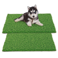 Starroad-TIM tapis herbe artificielle pour chien, lot de 2, idéal pour l'entraînement.