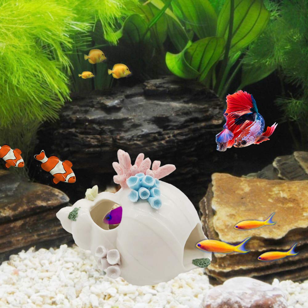 Starryfill conque blanche, ornement d'aquarium avec trois trous pour passage des poissons.