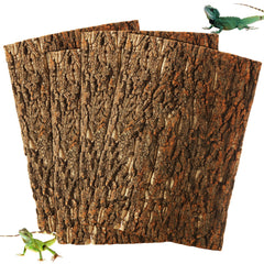 STARVAST liege-terarium-arriere-plan-ensemble : décor naturel et installation facile pour votre terrarium.