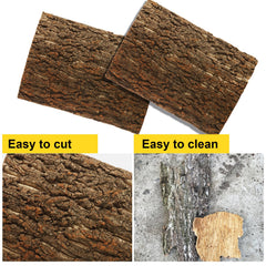 STARVAST tapis-grimpe-terarium : tapis d'escalade en liège favorisant l'exercice des reptiles.
