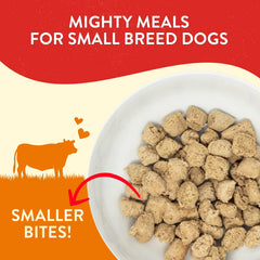 Stella & Chewy's Lil' Bites ingrédients naturels pour une alimentation appétente