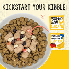 Stella & Chewy's SuperBlends ingrédients fruits et legumes bio pour soutien immunitaire.