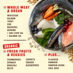 Stella & Chewy's Wild Red Ocean Recipe — six protéines poissons, idéal pour chiens sensibles à la volaille.