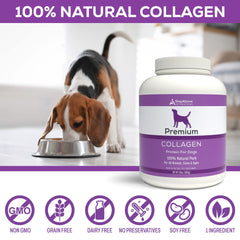Versement sur nourriture chien Step Above Proteins: stimulant l'appétit et l'énergie.
