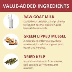 Steve's Real Food Nuggets boeuf lyophilisés servis comme friandise saine et savoureuse.