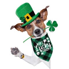 Bandana STMK Patrick vert – trèfle patch, look festif.