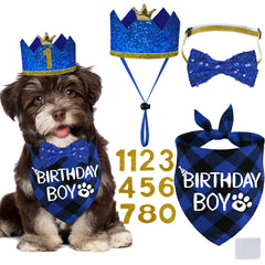 Chapeau anniversaire STMK pour chien, réutilisable et idéal pour les photos festives