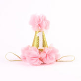 Stock Show chapeau conique d'anniversaire pour chiens et chats, parfait pour les photos festives.