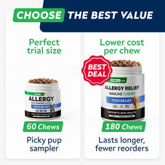 STRELLALAB friables texture douce, faciles à mâcher, même pour les chiens seniors.
