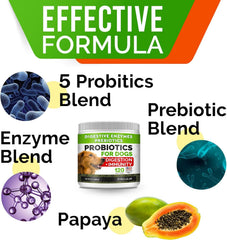 STRELLALAB enzymes papaye chien – supplément naturel pour l’assimilation.