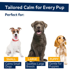 STRELLALAB friandises chanvre pour chien, chien reposant sur un coussin après la dégustation.