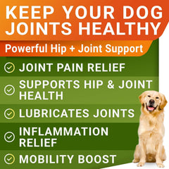 Friandises STRELLALAB glucosamine pour grands chiens, goût agréable, aide possible à l’articulation.