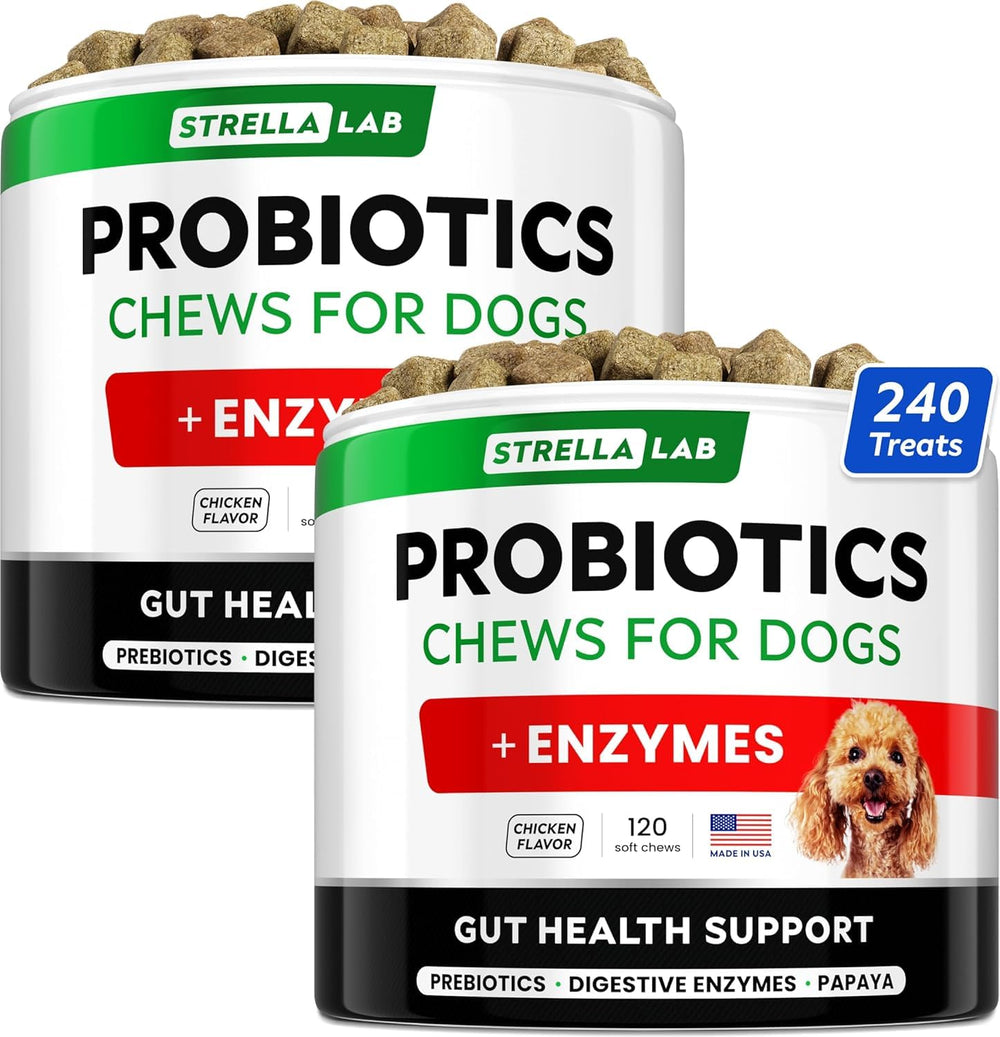 STRELLALAB bouchées probiotiques pour chien – pot digeste et soutien intestinal.