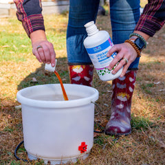 Strong Animals Prebiotiques pour digestion des poules et absorption des nutriments.