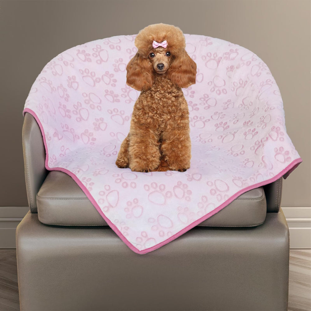 Stuffed couverture douce grise avec patte imprimée, pour le confort quotidien de votre chien.