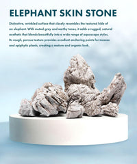 Pierre SubstrateSource peau d'éléphant avec dimples et cratères, texture unique