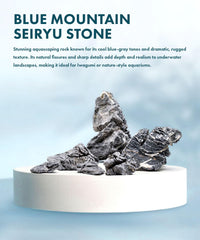 Seiryu SubstrateSource, angles marqués et crevasses pour un décor naturel.