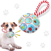 Suilung assiette pessah : design festif pour le repas du chien.