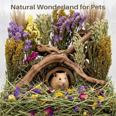 Branches naturelles utilisées comme décor pour hamster et habitat.