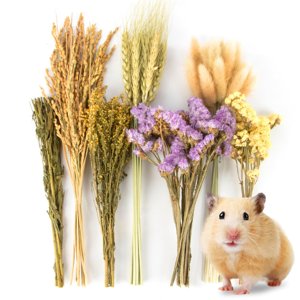 Sukh litière fleurs naturelles pour hamster – apporte couleur vive au nid