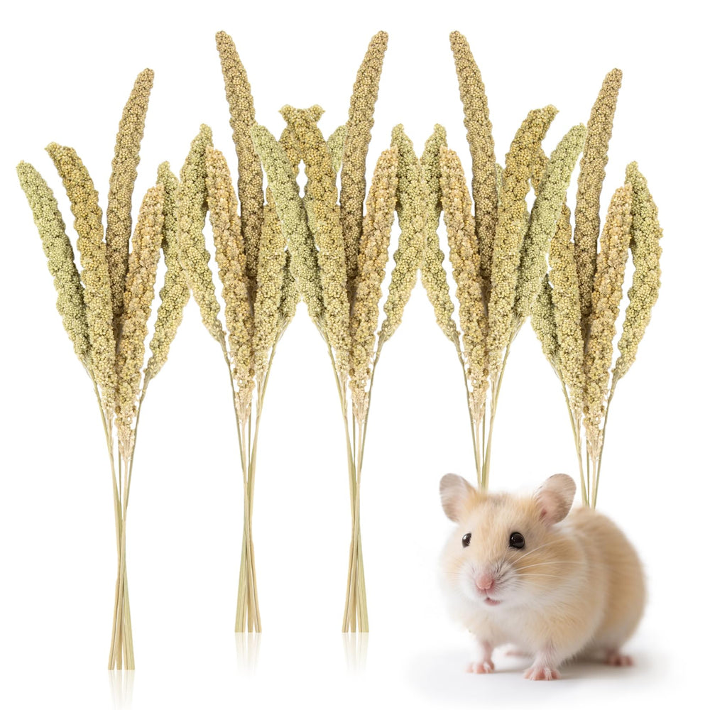 Sukh millet-spray-hamster-deco : décor naturel pour cages et habitats.