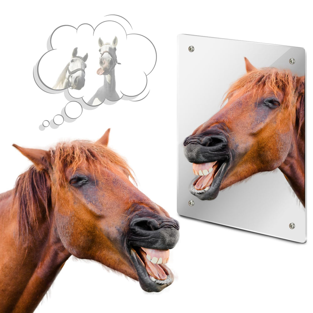 Miroir Sukh pour cheval en stalle reflète le cheval et peut favoriser le calme.