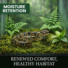 Sukh mousse sphagnum humidité, aide à stabiliser l’humidité pour reptiles exigeants.