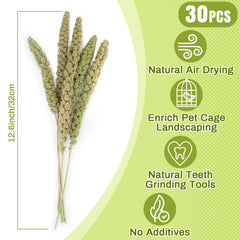 Sukh oreilles-millet-hamster-naturel : stimule l exploration et offre texture naturelle.