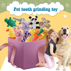 Jouet Sumind canard en corde, couleur vive pour stimuler le jeu intérieur.