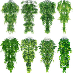 Suncalla plantes reptile vignes suspendues pour decor terrarium naturel