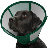 SUNFURA cone pour chien grand et doux en néoprène, confort pendant la récupération.