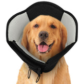 SUNFURA cone chien larges apres operation reglable, confort et protection post-operatoire.