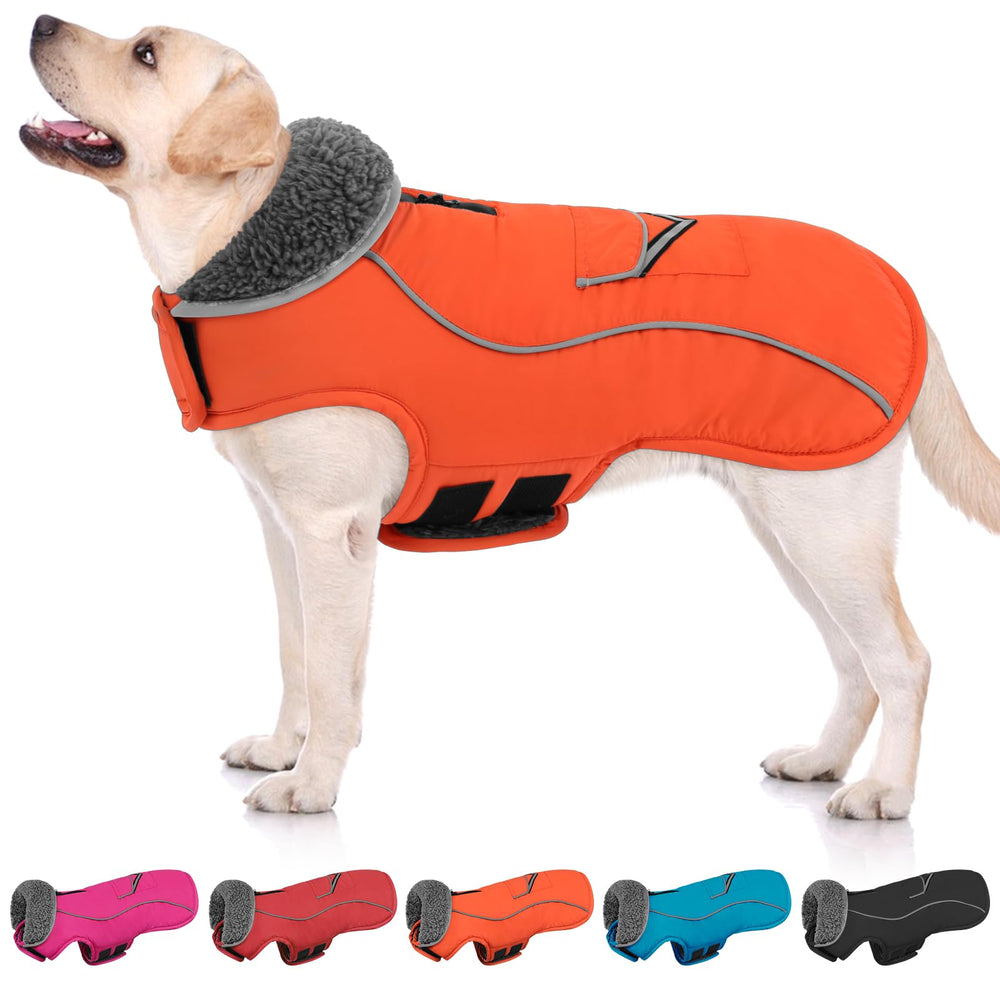 SUNFURA gilet chien hiver avant : chaleur et confort lors des promenades