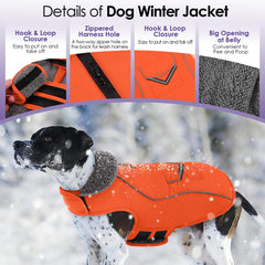 SUNFURA gilet chien hiver col fourrure anti-vent protégeant le cou