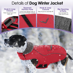 SUNFURA manteau chien grand réfléchissant dos, meilleure visibilité nocturne.