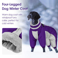 SUNFURA manteau chien-reflechissant-encolure visibilité accrue la nuit.