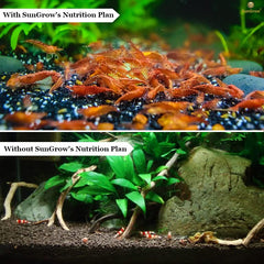 SunGrow Alimentation crevettes – potentiel pour augmenter la population avec une alimentation adaptée.