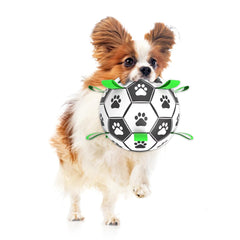 SunGrow balle-football chien avec anses pour un jeu interactif et transport facile.