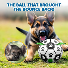 SunGrow balle-football chien exercice physique et mental pour chiens actifs.